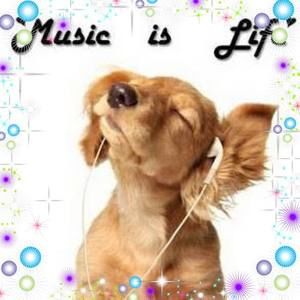 Meet your Posher, Martha